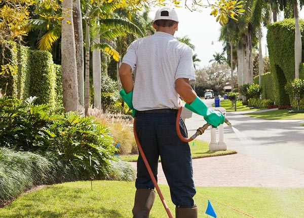 About Blain PA Pest Control Pros